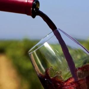 ce brings Italian wine producers to “Borsa dei Vini” in Belgium and in the Netherlands