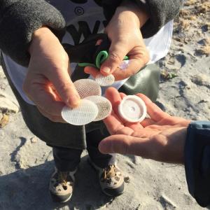 plastica raccolta a caprera