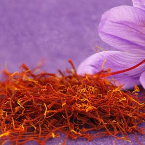 zafferano
