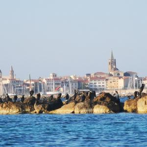 Alghero