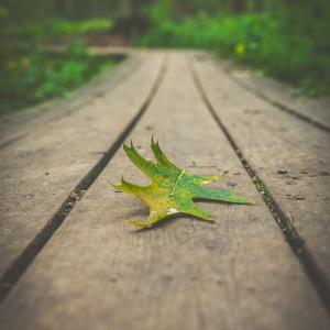 Transizione energetica