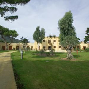 verde - immagine simbolica