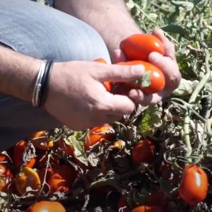 casar - immagine di repertorio