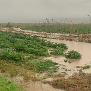 Terreni nella bassa valle del Coghinas