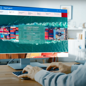 un utente naviga su export.gov.it