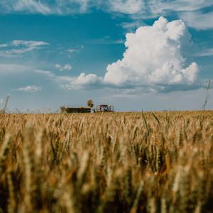 agricoltura - immagine simbolica