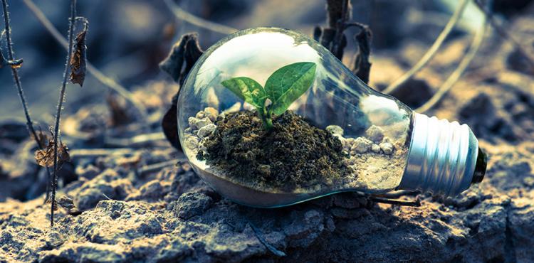 Nuovi contratti di sviluppo