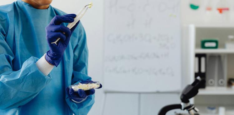 Più brevetti in Sardegna