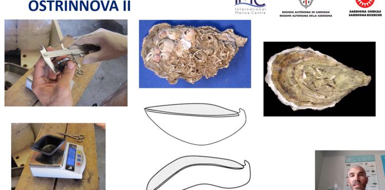 ostrinnova - un'immagine del video dimostrativo