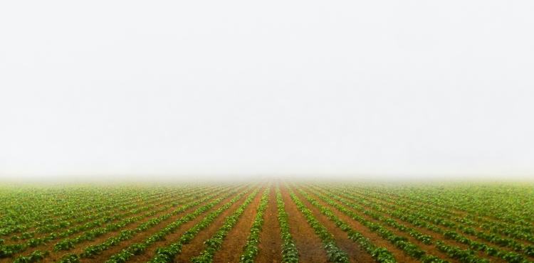 Photo by <a href="https://unsplash.com/@clayleconey?utm_source=unsplash&utm_medium=referral&utm_content=creditCopyText">Clay LeConey</a> on <a href="https://unsplash.com/s/photos/agriculture-field?utm_source=unsplash&utm_medium=referral&utm_content=creditCopyText">Unsplash</a> Agricoltura