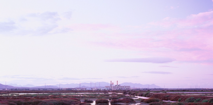 Macchiareddu (foto Facebook Consorzio Industriale di Cagliari)