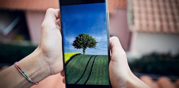 Digitalizzazione ed ecologia