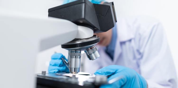 Ricercatore scientifico