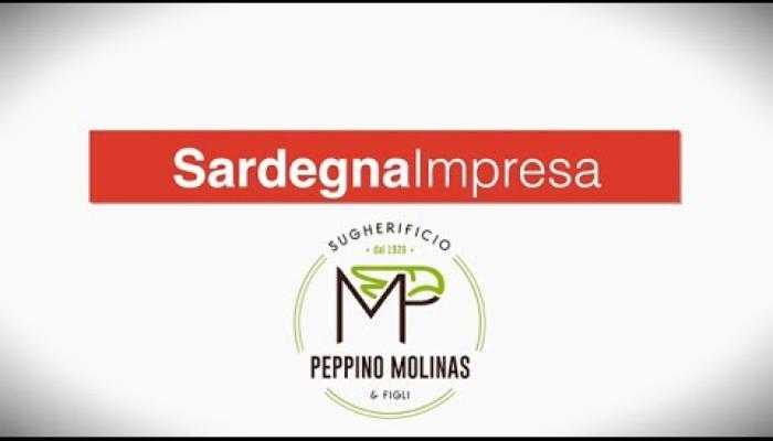 Embedded thumbnail for Sugherificio Molinas, storia di un’impresa che dura da cent'anni e rappresenta la Sardegna nel mondo
