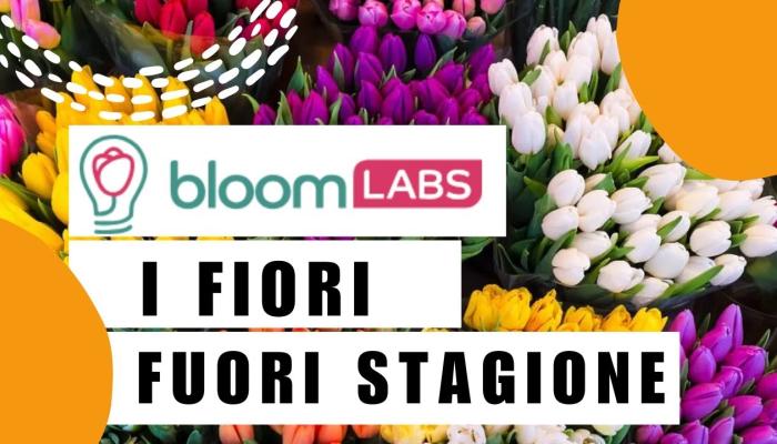 Embedded thumbnail for BLOOM LABS: i fiori fuori stagione