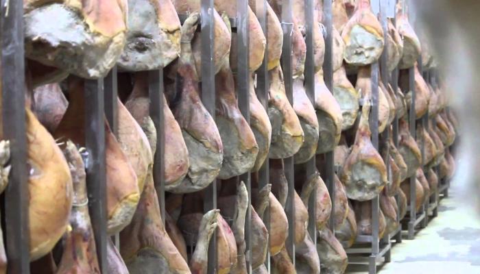 Embedded thumbnail for Caso Aziendale: Fattorie Gennargentu- Daniela Falconi